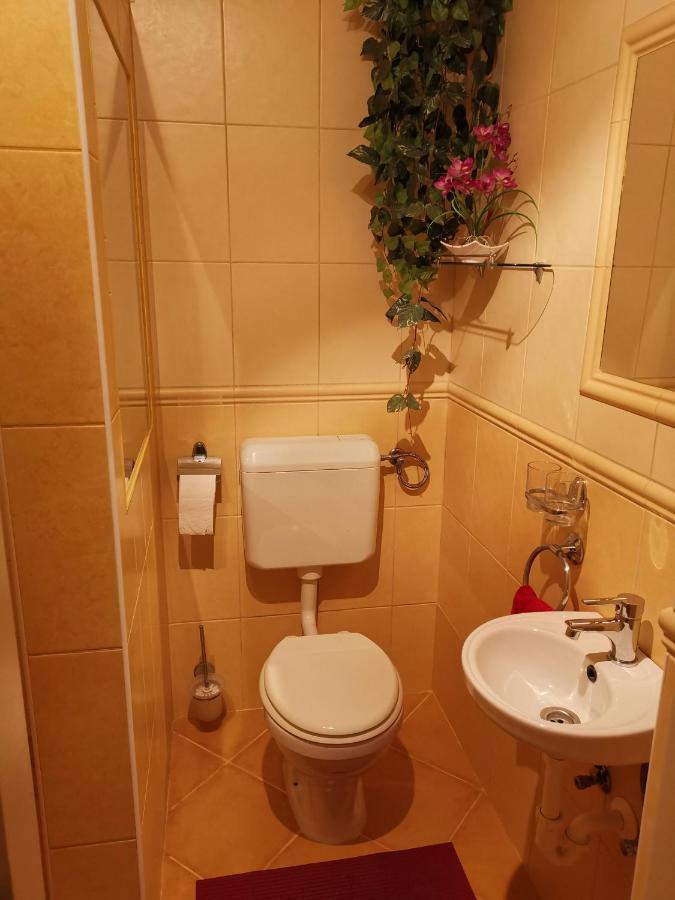 Viktor Vendeghaz Apartment Токай Екстериор снимка